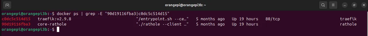 Running containers on the home server